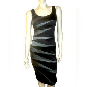 Jax NWOT Stretchy Body Con Sleeveless Midi Dress Size 6